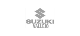 Suzuki Vallejo